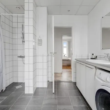 Attraktiv Pa Osterbro Copenhague